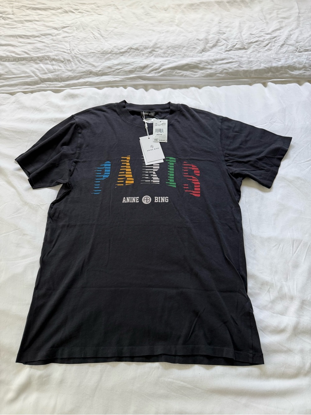 Anine Bing Lili Paris Tee in Ink Back